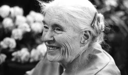 Die Kunst der Beunruhigung: Anna Seghers