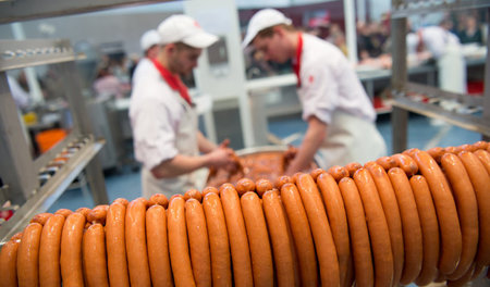 Ausbeutung oder Ausbildung? Messestand des deutschen Fleischerve...