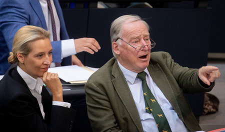 Zeigen auf andere: Die Fraktionsvorsitzenden der AfD, Alexander ...