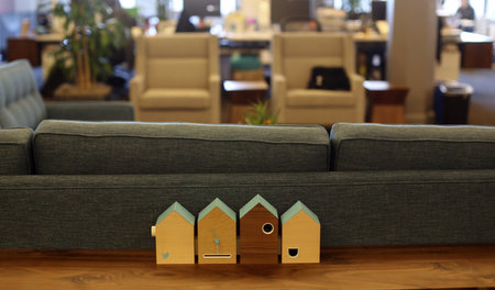 Analoges Twitter: Vogelhäuschen in Sofanähe