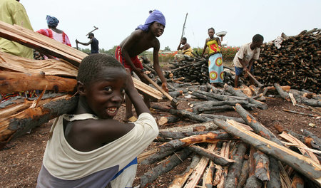 Kinder beim Sammeln von Brennholz in Guinea