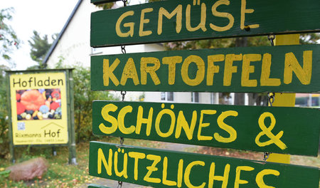 »Wenn du alles so in Schönheit verwandelst wie die Scheune hier,... »Wenn du alles so in Schönheit verwandelst wie die Scheune hier,...