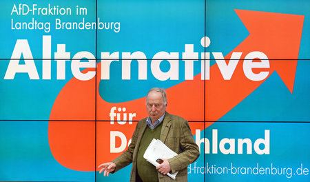 Der damalige AfD-Landesvorsitzende Brandenburgs, Alexander Gaula...