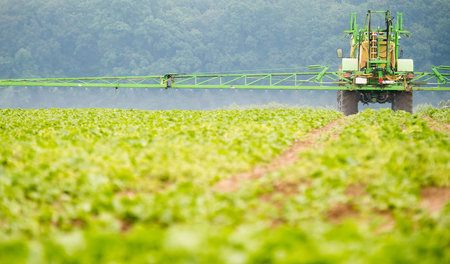 Ausbringung selektiver Herbizide zur Vernichtung von Unkraut auf...