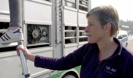 Iris Baumgärtner nimmt einen Tiertransport in Augenschein: »Re: ... Iris Baumgärtner nimmt einen Tiertransport in Augenschein: »Re: ...