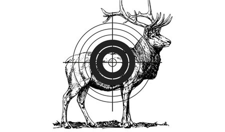 Schuss frei, wir sind Arzt