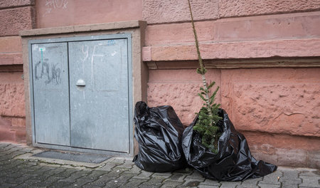Der_Rest_vom_Fest_55845353.jpg