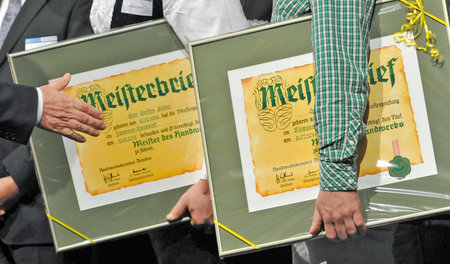 Meisterbrief: Längst nicht mehr für alle Gewerke braucht man das...