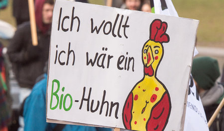 Berliner_Agrar_Demo_43920857.jpg