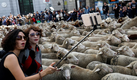 »Heil der Herde ist für die pastorale Macht das wesentliche Ziel...