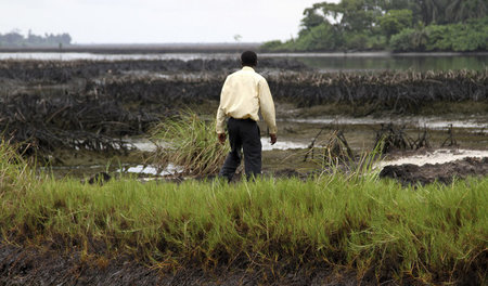 »Außerhalb des Blicks der Mehrheit der Niederländer«: Nigerdelta...