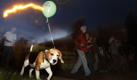 Auf den Hund gekommen. Die Rettung der Bäume und der Schutz des ... Auf den Hund gekommen. Die Rettung der Bäume und der Schutz des ...