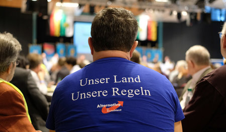 Landesparteitag_der_60272224.jpg