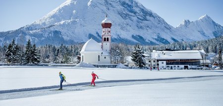 Wasseramsel, Alpenskorpion, Langlaufloipen: Seefeld mit Altschne...