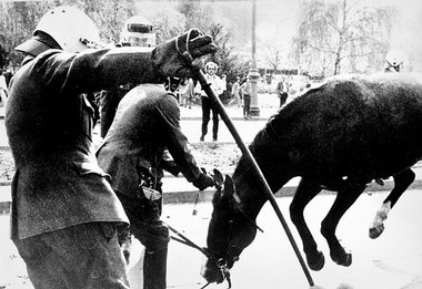 Bei der Schlacht um das Amerikahaus in Westberlin nach dem US-An...