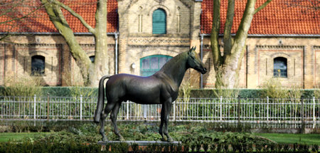 Landgestuet_Warendor_60359999.jpg