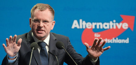 Parteitag_AfD_Baden_60427786.jpg