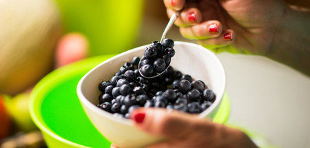 Gesund genug: Heidelbeeren sind eine von vielen guten Alternativ...