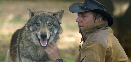 Daniel Weigend mit einem seiner Schützlinge: »Re: Wolfshunde«