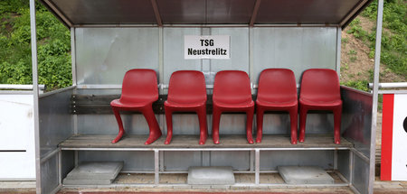 TSG_Neustrelitz_will_38407375.jpg
