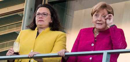 Ein_Jahr_grosse_Koal_60570492.jpg