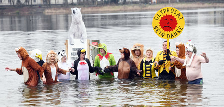 Protest gegen das Herbizid Glyphosat beim 33. Winterschwimmen bz...