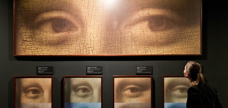 Mona Lisa wird zerlegt