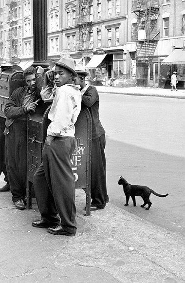 So schafft man Geheimnisse: Alle im Bild, inklusive Katze, gucke...