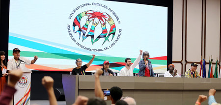 Kampf und Solidarität mit Venezuela: Das Plenum der Internationa... Kampf und Solidarität mit Venezuela: Das Plenum der Internationa...