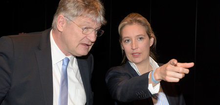 Parteitag_AfD_Baden_60423545.jpg