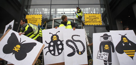 »Bayer und Monsanto töten die Biodiversität«: Attac-Aktivisten v...