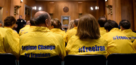 Regimegegner am 10. April in Washington. Bei weitem nicht alle I...