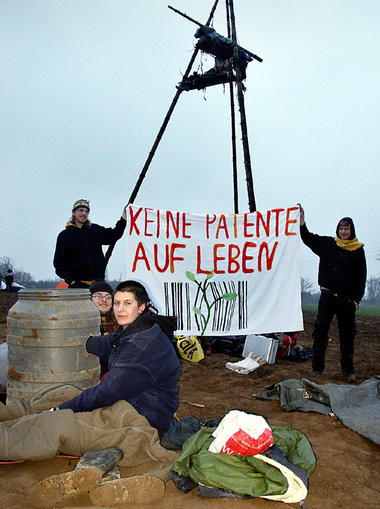 Feldbesetzung am frühen Freitag morgen in Oberboihingen