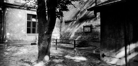 Garten des Luitpold-Gymnasiums in einer Aufnahme Heinrich Hoffma...