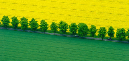 War alles mal Volkseigentum: Landschaft nahe dem brandenburgisch...