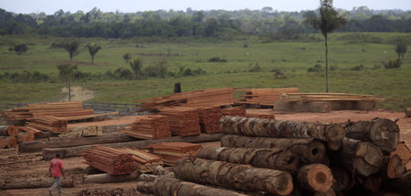 Rodung des Regenwaldes in Viseu, Bundesstaat Pará, Brasilien (26...