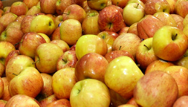 »Planet Wissen – Lieblingsobst Apfel – Von Boskoop bis Pink Lady...
