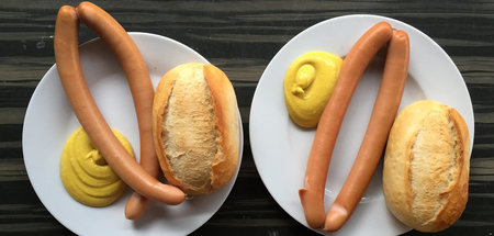 »Die Mittelstellung des Kunstwerks zwischen Subjektivität und Ob...