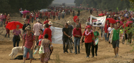 S 11 .jpg