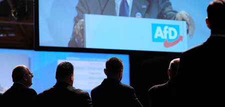 Parteitag_der_AfD_Sa_61504730.jpg