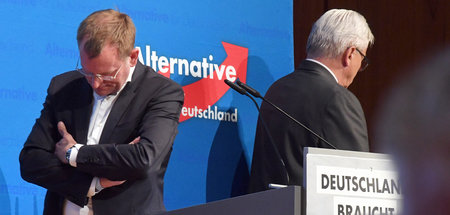 Parteitag_AfD_Baden_61507740.jpg