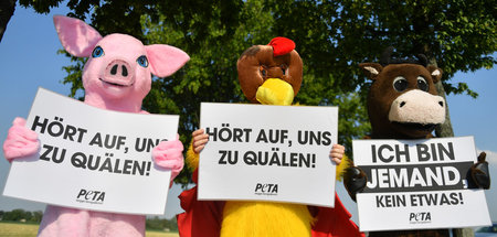 Deutscher_Bauerntag_61785710.jpg
