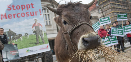 Protest gegen EU-Mercosur-Abkommen (Berlin, 26.3.2018)