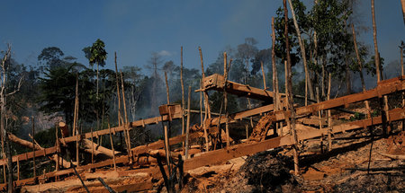 Regenwaldabholzung in Brasilien (Itaituba, Brasilien, 2.8.2017)