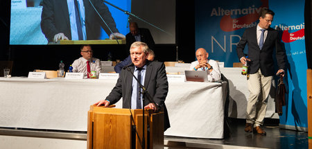 Landesparteitag_der_61905985.jpg