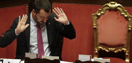 Innenminister_Salvin_61962351.jpg