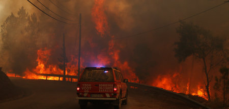 Die Arktis brennt, die Forste verdursten, und Portugal flammt (F...