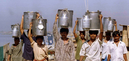 Milchbauern auf dem Weg nach Dhaka (Bangladesch, 6.11.2018)