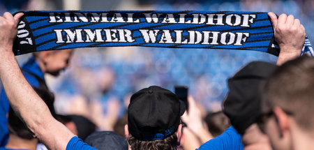 Wer mag schon Hoffenheim? Die Rhein-Neckar-Region hat endlich wi...