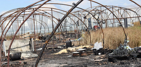 Abgebranntes Wohnlager bei Nea Manolada Ende Mai dieses Jahres